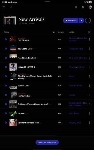 Screenshot_20260208_095817_Roon