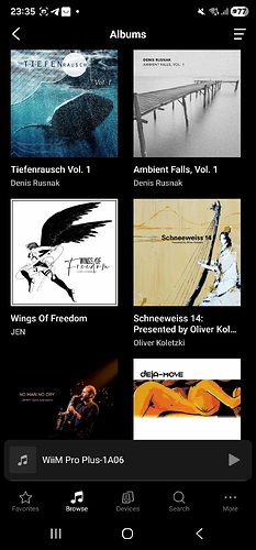 Screenshot_20251107_233546_WiiM Home