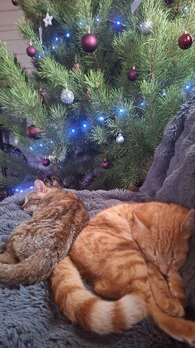 IMG_20260108_071635_283