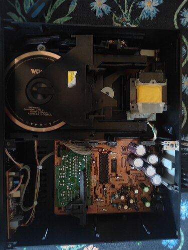 photo_2025-08-30_22-09-48 (3)