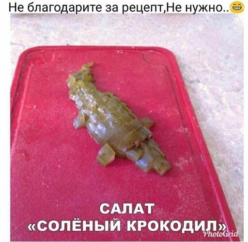 IMG-20191210-WA0006