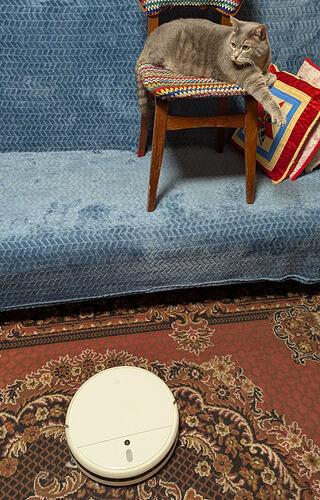 PXL_20251031_123737331.MP