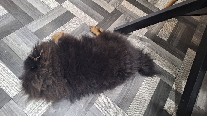 IMG_20260114_133737_367