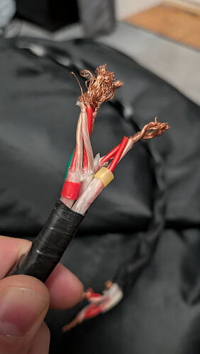 PXL_20251106_192221602.MACRO_FOCUS