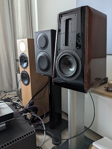 PXL_20240811_121029449