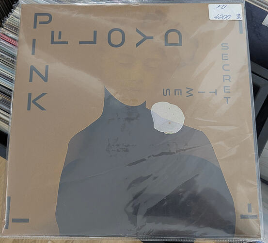 PXL_20250920_044540490~2