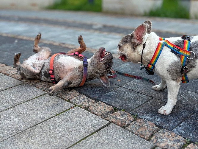 photo_2025-08-11_16-57-57