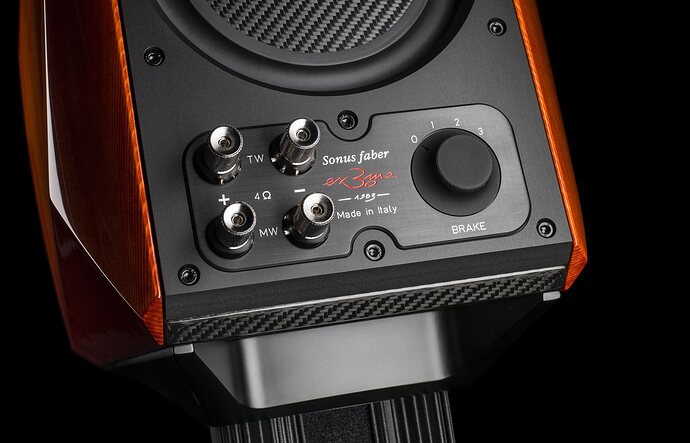 sonus-faber_extrema_20.jpg.db80db24014484bf2fc79ee515042776