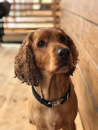 2025-08-18 в 13.25.43_c81c10a0