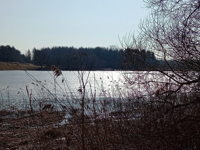 IMG20250329104058