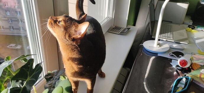 photo_2023-01-28_18-42-37