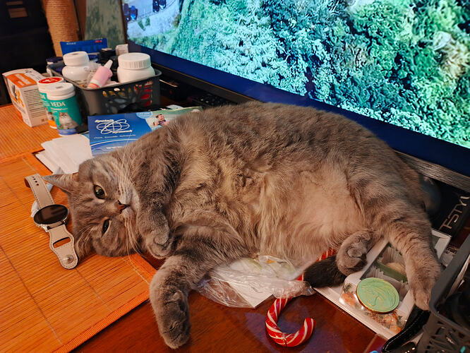 IMG_20260106_190635_973