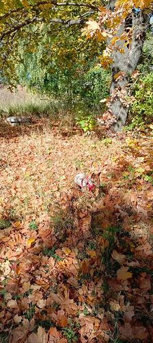 IMG_20251001_115502_473