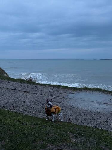 photo_2026-01-06_16-51-59