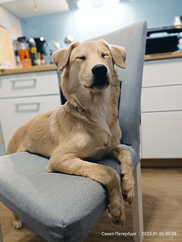 IMG_20250106_000932_867