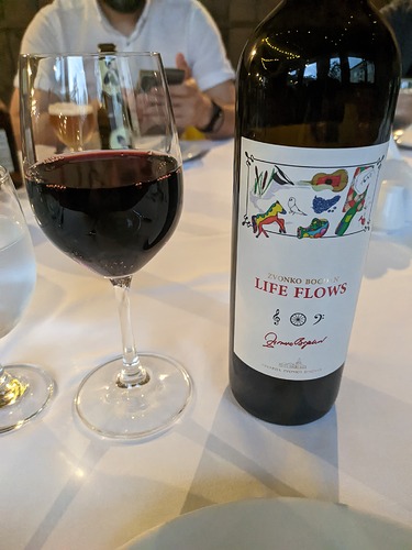 PXL_20240617_201459019.MP