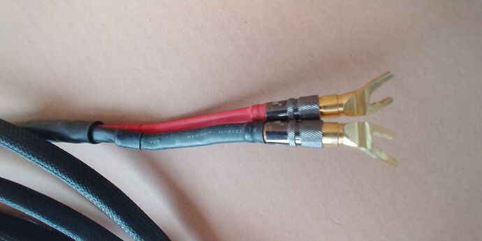 photo_5201803221000121197_y