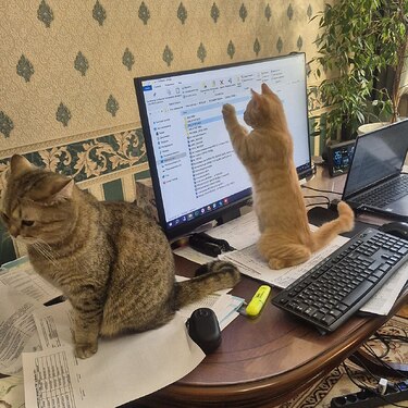 photo_2026-01-26_18-22-39