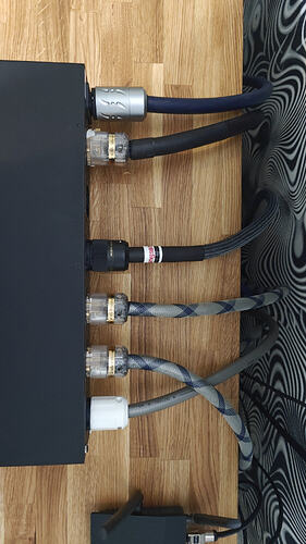 IMG-20250928-WA0004