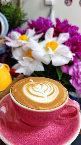 IMAGE 2024-05-10 13:06:47