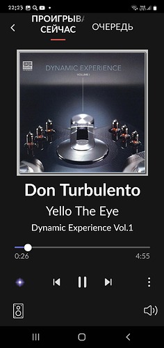 Screenshot_20230521-222305_Roon