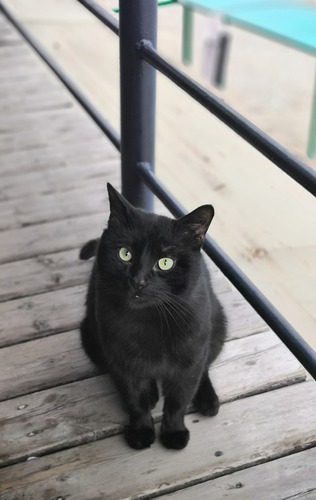 IMG_20230128_142247_edit_1153220359447468