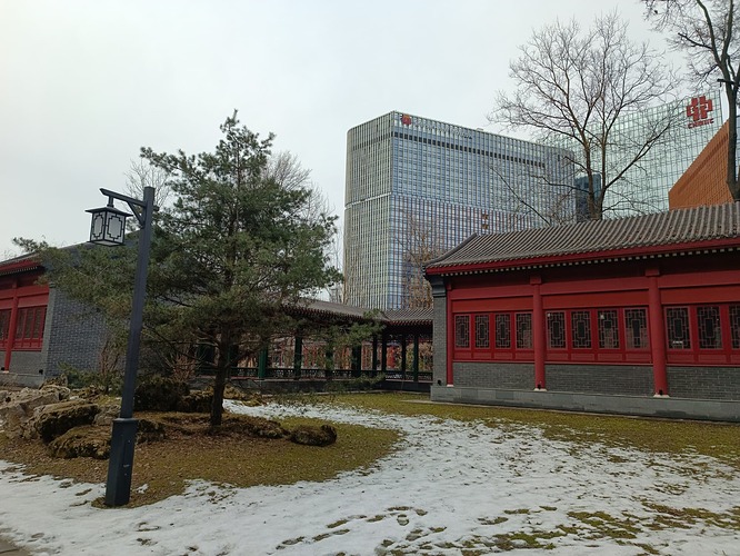 IMG_20250305_201224