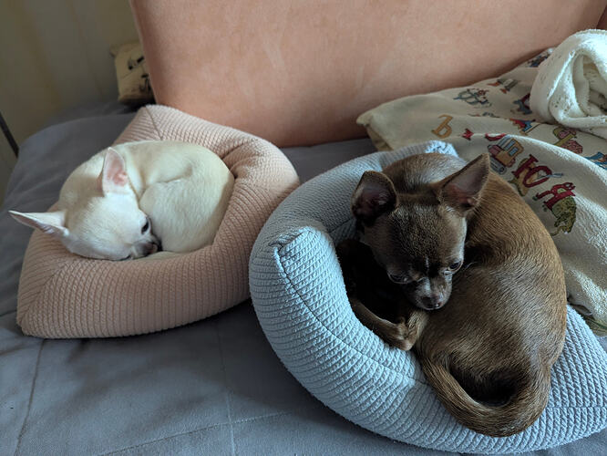 PXL_20251111_100936893