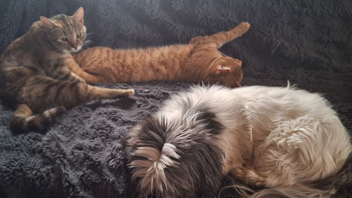 IMG_20260108_071637_575