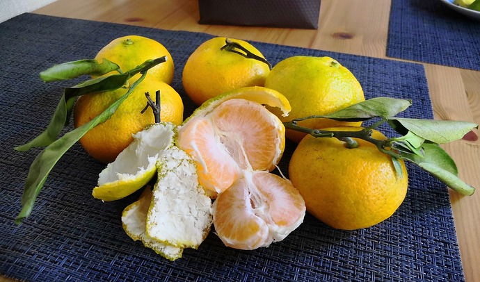 IMG_20230916_135918_edit_349808753194539