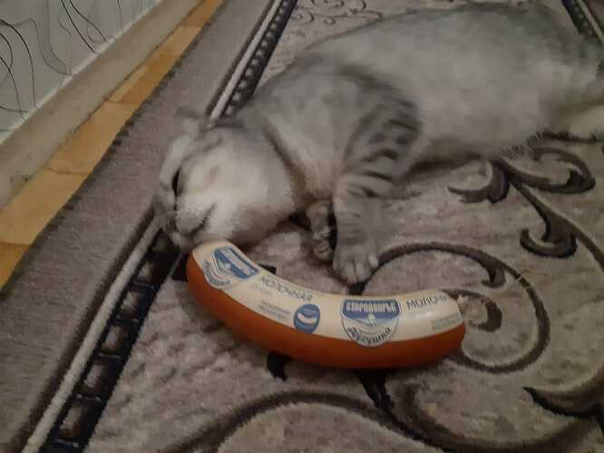 IMG-20210203-WA0016