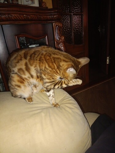 IMG_20260111_135125_010_copy_600x800