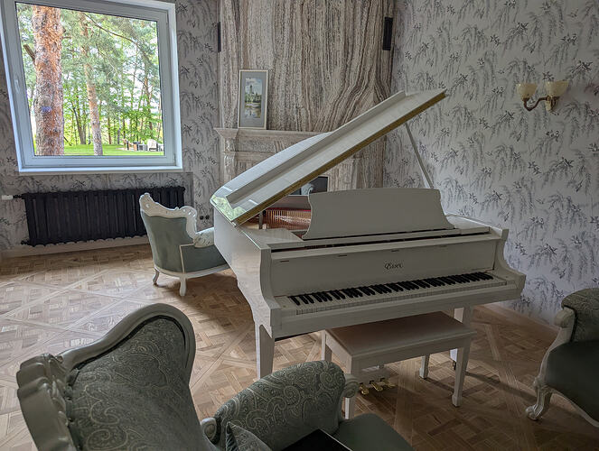 PXL_20250515_124639529.MP