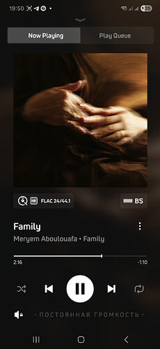 08 Screenshot_20260125_195000_BluOS