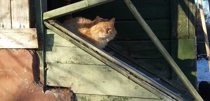 IMG-20250316-WA0000