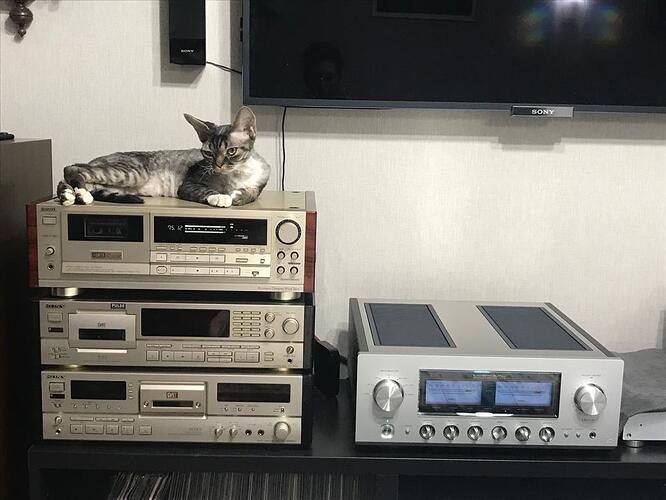 WhatsApp Image 2023-01-24 at 20.06.01