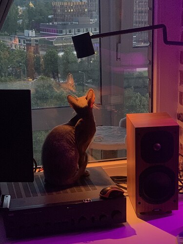 photo_2023-07-12_16-16-14