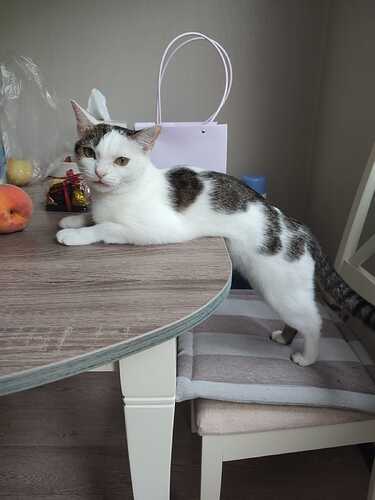 IMG-20241002-WA0000