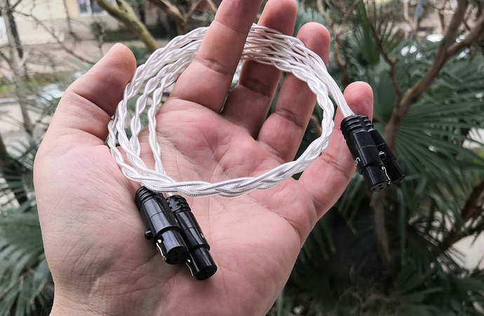 IMG_20230214_133141_edit_929567427936279