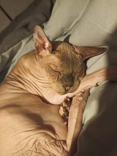 IMG_20251101_195542_820