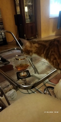 IMG_20240627_185904_copy_680x1365