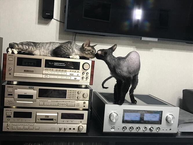 WhatsApp Image 2023-01-24 at 20.06.01 (1)