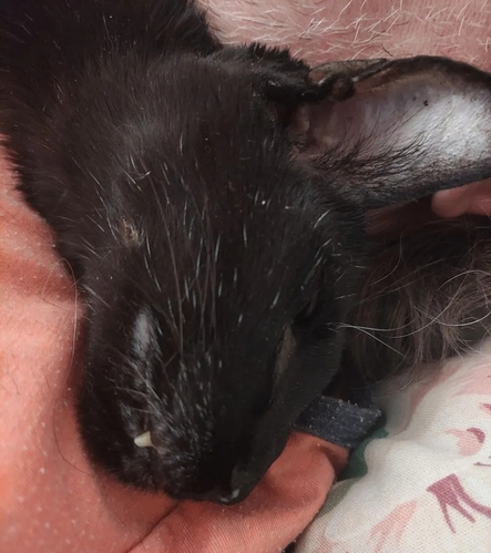 upload_2026_01_31_09_02_19_440