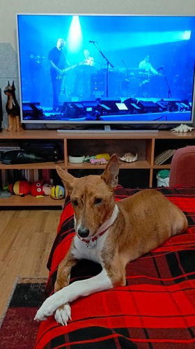 WhatsApp Image 2025-10-24 at 19.20.49