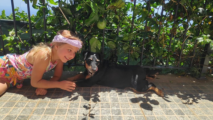 SAVE_20250817_201157