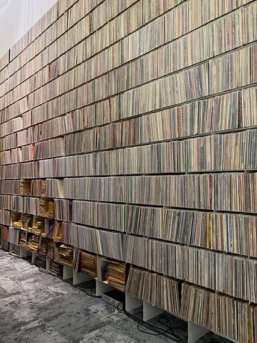 alex_arnout_official_3861307638680459240