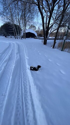 photo_2026-01-01_15-26-58