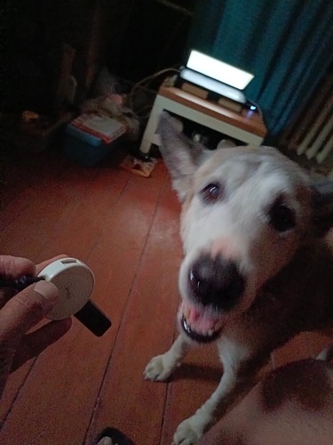 IMG_20250727_212535_845