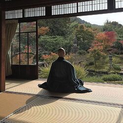 5226d826c1ca82ebb742bfff35c71c1803e5d55b_2_1000x1000