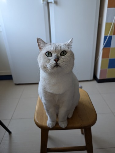 PXL_20240704_040918081